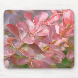 Mousepad Ramificações bonito rosa