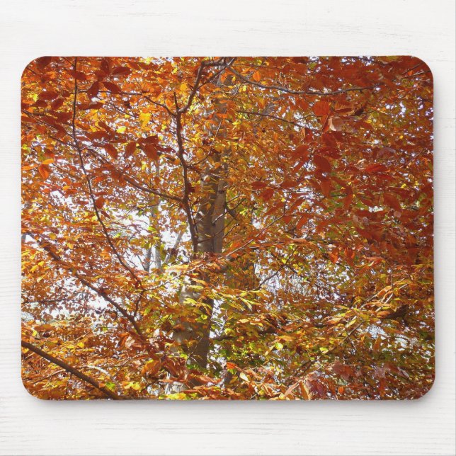Mousepad Ramos de Folhas Laranja Outono Natureza (Frente)