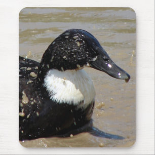 Mousepad Rápido, o pato