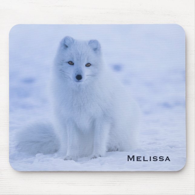 Mousepad Raposa Árctica Cuta no Fundo de Inverno de Neve (Frente)