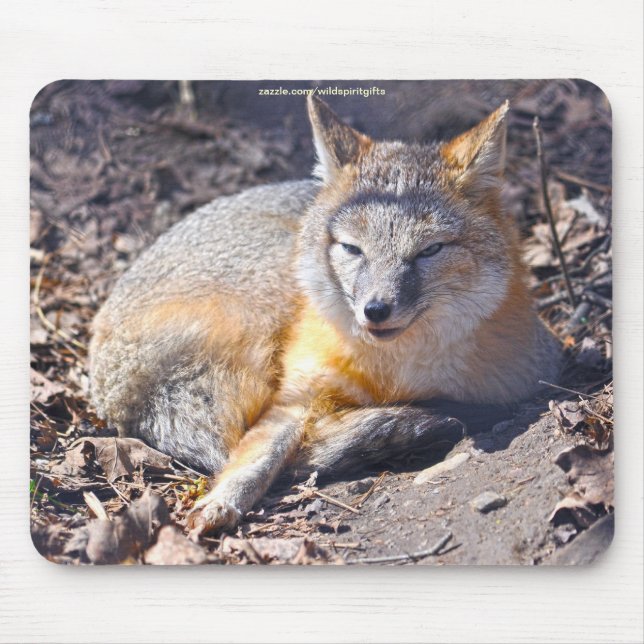 Mousepad Raposa Swift Descendo em Sunshine Wildlife Mousepa (Frente)