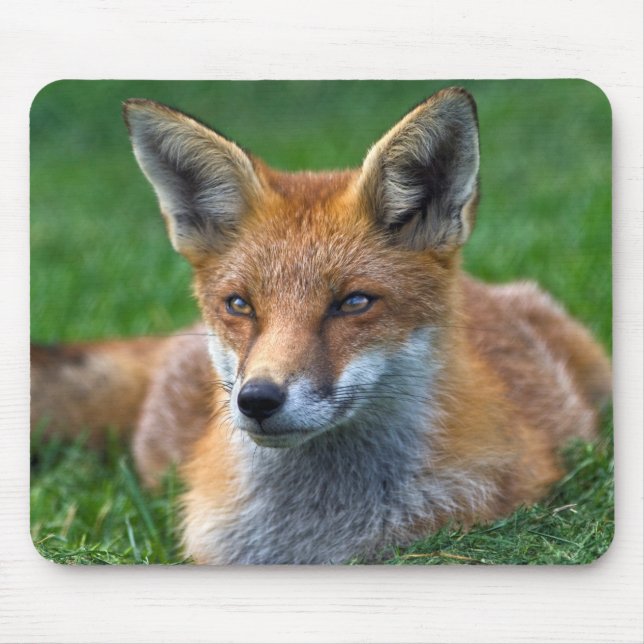 Mousepad Raposa Vermelha (Frente)