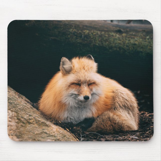 Mousepad Raposa Vermelha Dormindo (Frente)