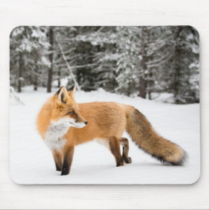 Mousepad Raposa Vermelha na Neve Branca