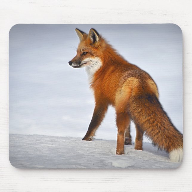 Mousepad Raposa Vermelha na neve do inverno (Frente)