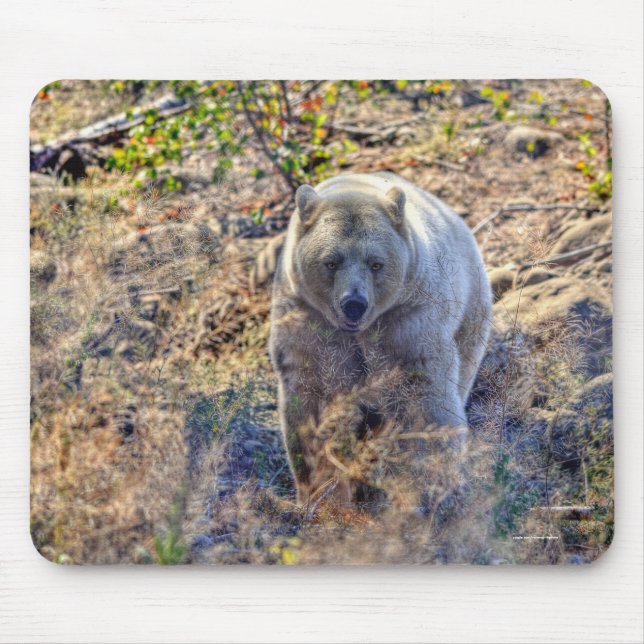 Mousepad Rare Kermode Bear (Spirit Bear) (Frente)