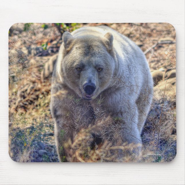 Mousepad Rare Kermode Bear (Spirit Bear) (Frente)