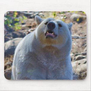 Mousepad Rare Kermode Bear (Spirit Bear)