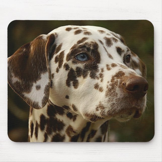 Mousepad Rare Spotted Brown Dalmatian | Dalmama Hepática (Frente)