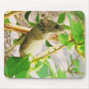 Mousepad Rato Bonito