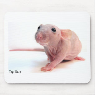 Mousepad Rato calvo