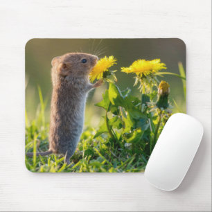 Mousepad Rato Cheirando um Dente-de-Leão Amarelo