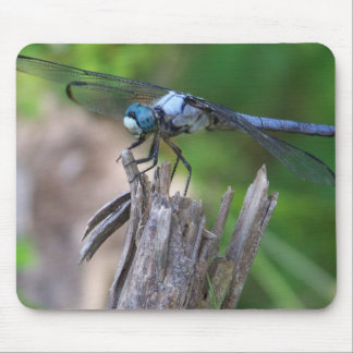 Mousepad Rato da mosca