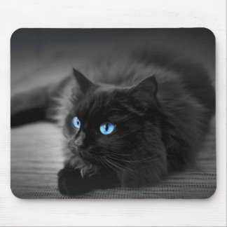 Mousepad Rato de Arte de Gato Olhos Azuis da Meia-Noite