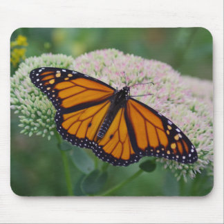 Mousepad Rato de Borboleta Monarca