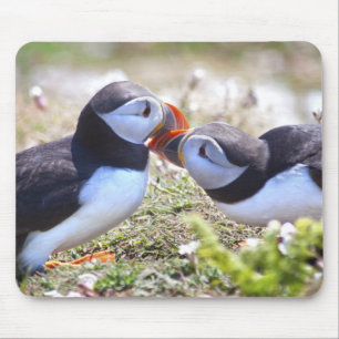 Mousepad Rato de Borracha de Papagaios-do-mar Beijando