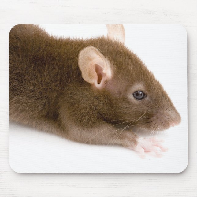 Mousepad Rato de Brown (Frente)
