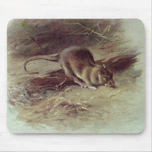 Mousepad Rato de Brown 1918