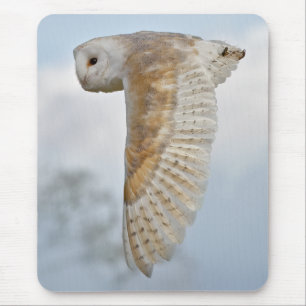 Mousepad Rato de Computador com Tyto-alba em Voo