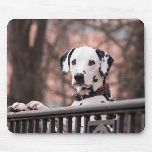 Mousepad Rato de Dalmatas Almofada de Rato (Frente)