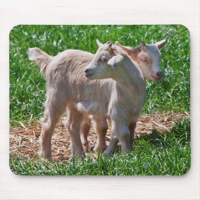 Mousepad Rato de mesa de Cabritos Anões (Frente)