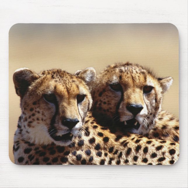 Mousepad Rato de Par de Guepardos Fofos (Frente)