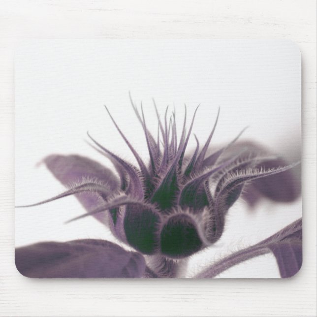 Mousepad Rato de Sol Crescente Almofada (Frente)