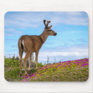 Mousepad Rato de veado Vida Selvagem de Flor Silvestre Co