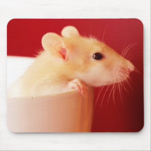 Mousepad Rato do bebê