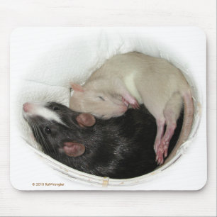 Mousepad Rato do bebê do sono