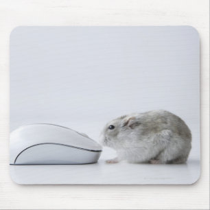 Mousepad Rato do hamster e do computador