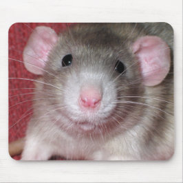 Mousepad Rato Dumbo Fofo