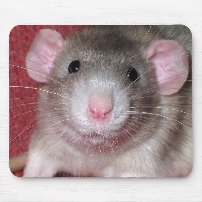 Mousepad Rato Dumbo Fofo (Frente)