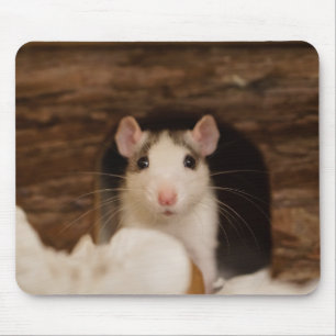 Mousepad Rato Fofo