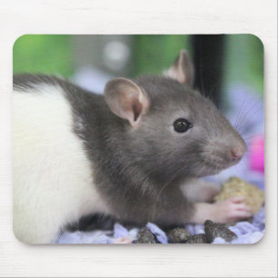 Mousepad Rato lil