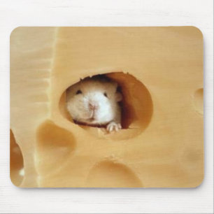 Mousepad rato num tapete do rato