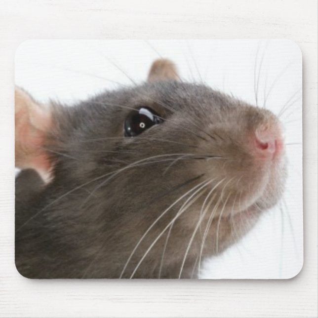 Mousepad Ratos! (Frente)