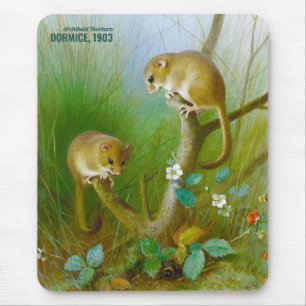 Mousepad Ratos Archibald Thorburn Cute (Dormice 1903) CC015