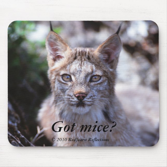 Mousepad Ratos obtidos? , (Frente)