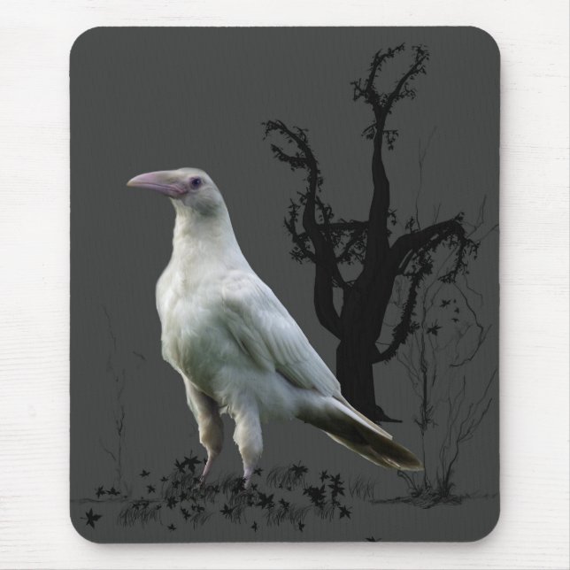 Mousepad Raven Branco, Pássaro Selvagem, Fantasia, Massépad (Frente)