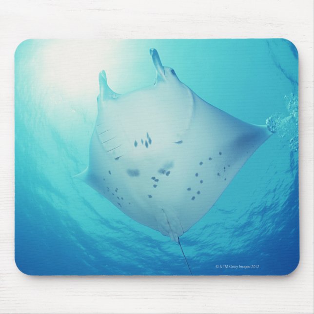 Mousepad Ray (Frente)