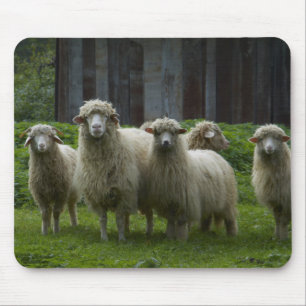Mousepad Rebanho da terra dos carneiros