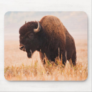 Mousepad Rebanho de Bisão Americano (Bison Bison) em Teton