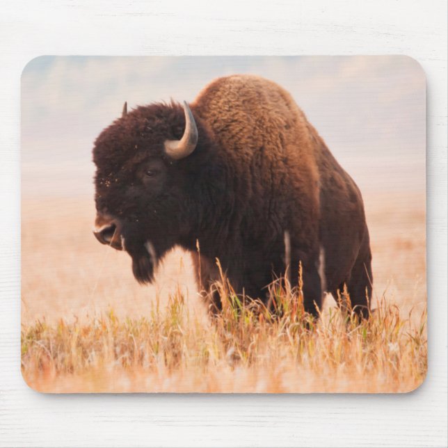 Mousepad Rebanho de Bisão Americano (Bison Bison) em Teton  (Frente)