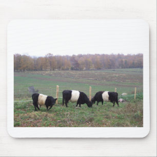 Mousepad Rebanho de vaca de Beltie na queda