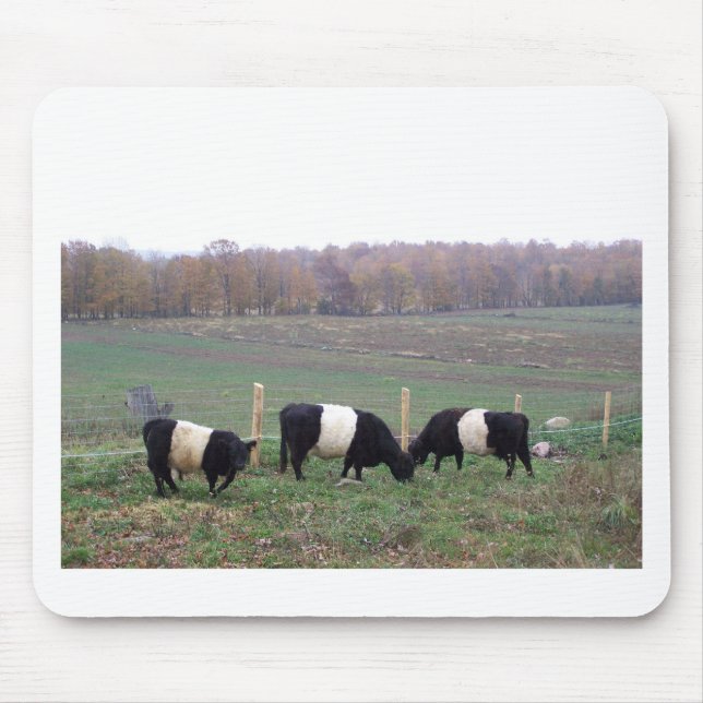 Mousepad Rebanho de vaca de Beltie na queda (Frente)