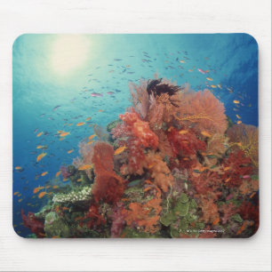 Mousepad Recife cénico de corais duros, corais macios 2