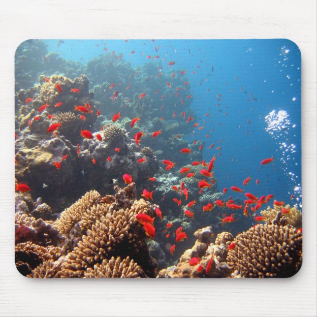 Mousepad Recife de corais 01 (Frente)