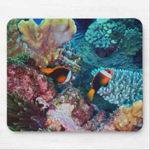 Mousepad Recife de Coral Bonito com Peixes
