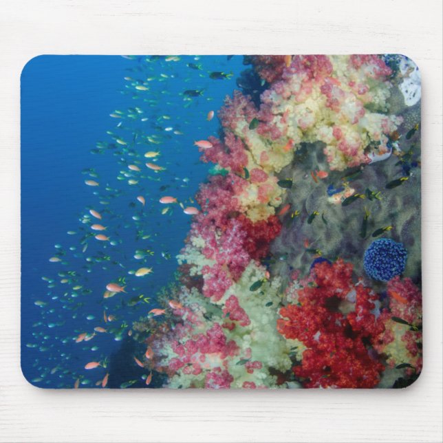 Mousepad Recife de coral submarino, Indonésia (Frente)